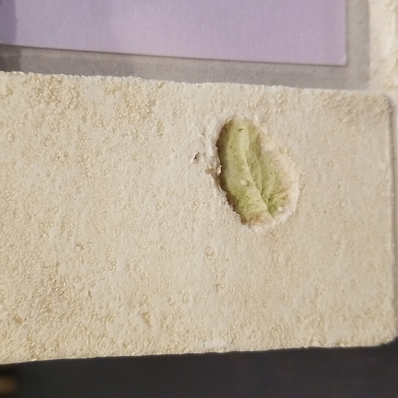 Frame•ology by Mint Impressions 4x6 Frame - Picture 10 of 16